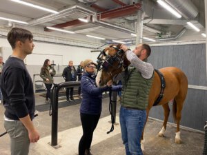 Milosz Tomaszewski  von der Hanseklinik für Pferde zäumt ein Belastungsendoskop auf. Copyright: Hanseklinik für Pferde