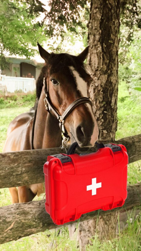 Accident in the pasture? Keep calm and act correctly: First aid for horses