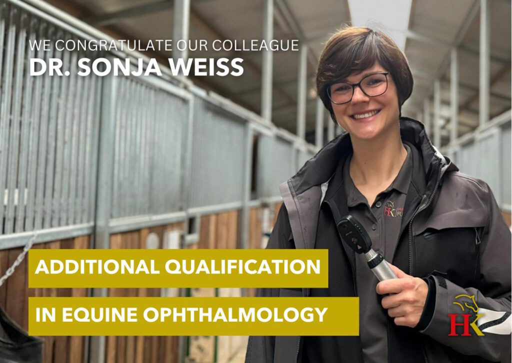 Dr Sonja Weiss obtains additional qualification in equine ophthalmology