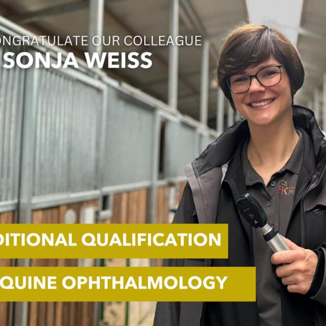 Dr Sonja Weiss obtains additional qualification in equine ophthalmology